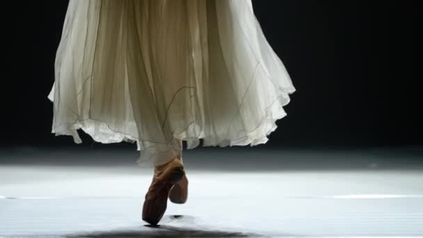 Mujer Elegante Tutú Blanco Danza Ballet Equilibrio Zapatos Punta Vista — Vídeo de stock