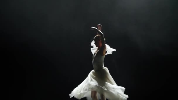 Schöner Dramatischer Tanz Elegante Ballerina Weißen Tutu Tanz Und Aufführung — Stockvideo