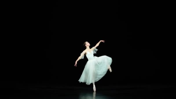 Ballett Anmutige Ballerina Einem Weißen Tutu Tanzen Und Führen Choreografische — Stockvideo