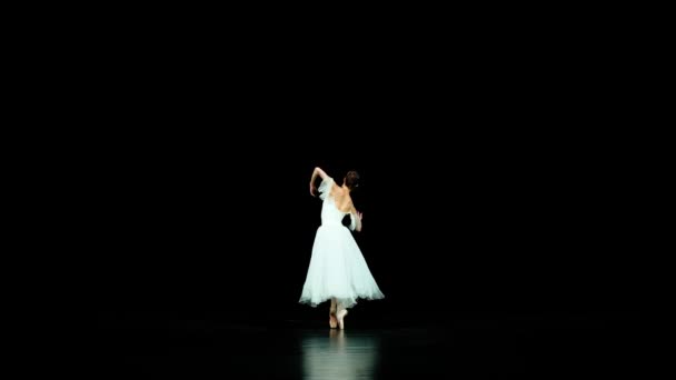 Ballet Sierlijke Ballerina Een Witte Tutu Dans Choreografische Elementen Een — Stockvideo