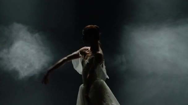 Dramatischer Tanz Anmutige Ballerina Weißen Tutu Ballerinen Führen Choreografische Elemente — Stockvideo