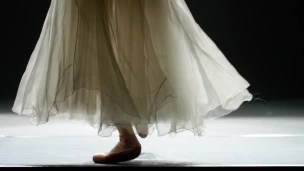 Beyaz Etekli Zarif Balerin Dans Balesi Pointe Ayakkabılarıyla Denge Bacakların — Stok video