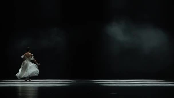 Süper Yavaş Çekim Bale Gösterisi Beyaz Etekli Zarif Balerin Siyah — Stok video