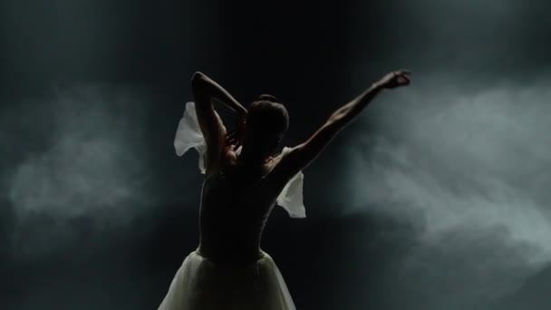 Spettacolo Balletto Danza Drammatica Ballerina Graziosa Tutù Bianco Ballerina Eseguire — Video Stock