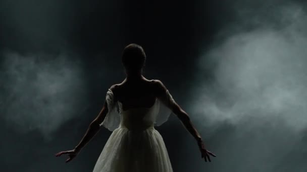 Μπαλέτο Παράσταση Χαριτωμένη Μπαλαρίνα Ένα Λευκό Χορό Tutu Και Εκτελέσει — Αρχείο Βίντεο