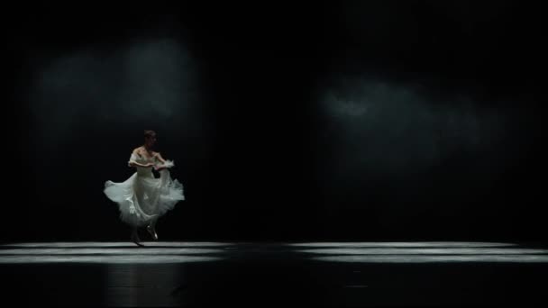Występ Baletowy Pełna Wdzięku Balerina Białym Tańcu Tutu Wykonanie Dramatycznych — Wideo stockowe