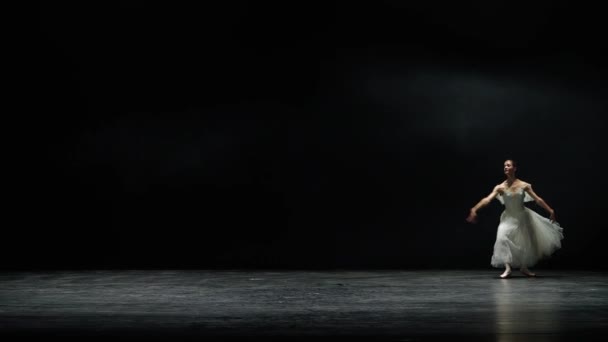 Παράσταση Μπαλέτου Χαριτωμένη Μπαλαρίνα Ένα Λευκό Χορό Tutu Και Εκτελέσει — Αρχείο Βίντεο
