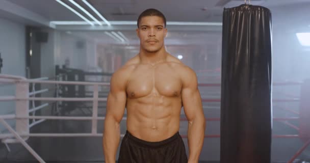 田径男子拳击手在拳击馆训练 一个肌肉发达的男子采取打斗的姿势 — 图库视频影像