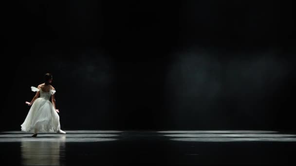 Изящная Балерина Белой Пачке Танцует Исполняет Хореографические Элементы Черном Фоне — стоковое видео