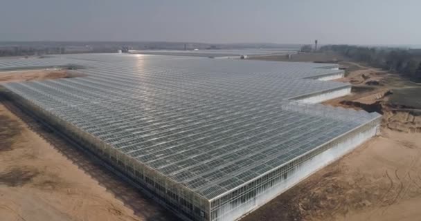 飞越玻璃温室 在大型工业温室中种植植物 从高处俯瞰全景 在玻璃表面反射 4K镜头 — 图库视频影像