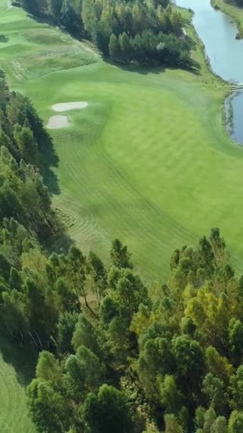 Green Fields Summer Sunny Day Aerial View Golf Course Forest — Stock Video