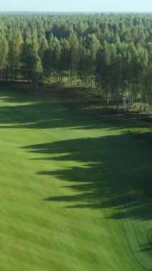 Yaz günü, orman bölgesindeki golf sahasının havadan görünüşü, Golf Kulübü, ormanın yakınındaki yeşil çimlerin manzarası, dikey video arka plan..