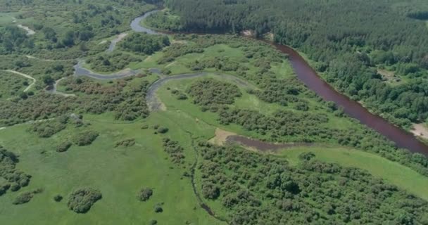 Floddal Vacker Utsikt Från Höjden Floden Myrar Och Gröna Skogar — Stockvideo