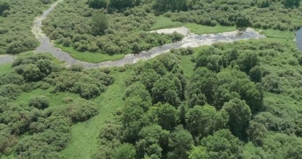 Nature Aerial View River Valley Beautiful View Height Rivers Swamps — Stock Video