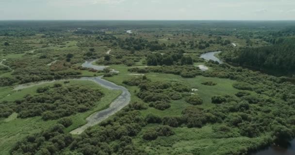 Floddal Vacker Utsikt Från Höjden Floderna Myrar Och Gröna Skogar — Stockvideo