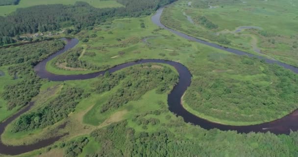 Floddal Vacker Utsikt Från Höjden Floden Myrar Och Gröna Skogar — Stockvideo