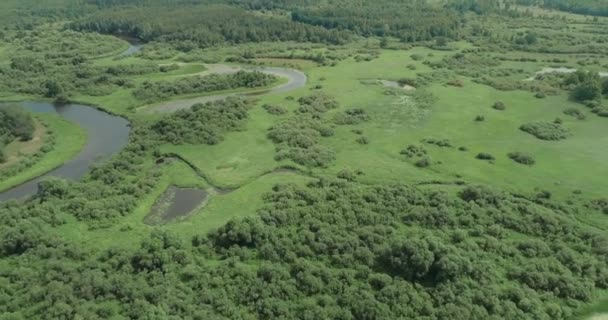 Natur Flygfoto Floddal Vacker Utsikt Från Höjden Floderna Träsk Och — Stockvideo
