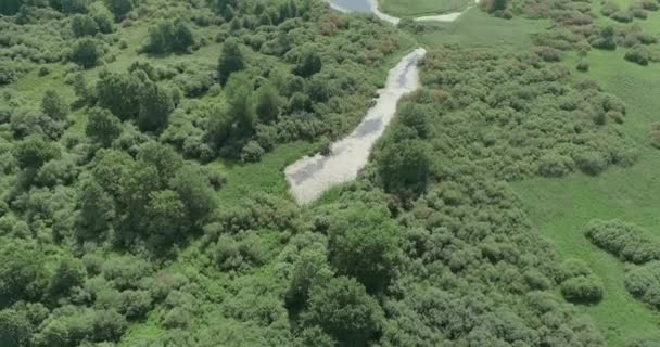 Αεροφωτογραφία Της Φύσης Όμορφη Θέα Από Ύψος Των Ποταμών Βάλτους — Αρχείο Βίντεο