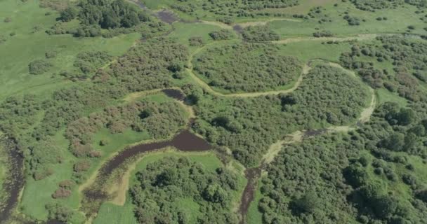 Doğal Hava Manzarası Nehir Vadisi Arka Planı Nehirlerin Yüksekliğinden Bataklıklardan — Stok video