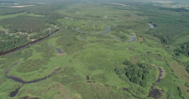 Річкова Долина Прекрасний Вид Висоти Річки Болота Зелені Ліси Фон — стокове відео