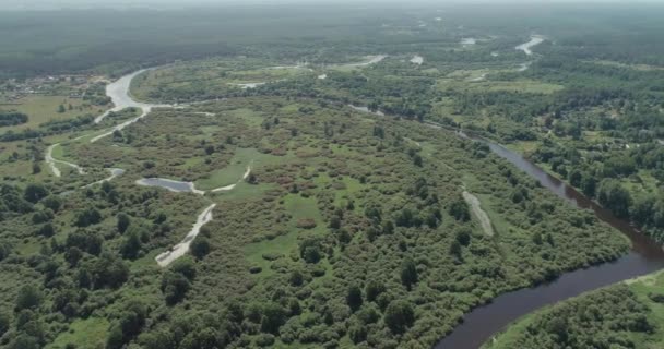 Natur Luftaufnahme Flusstal Schöne Aussicht Aus Der Höhe Der Flüsse — Stockvideo