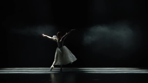 Balettföreställning Graciös Ballerina Vit Tutudans Och Dramatiska Koreografiska Inslag Svart — Stockvideo