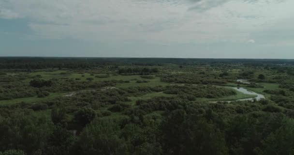 从河流的高处看到美丽的风景 沼泽和绿色的森林 — 图库视频影像