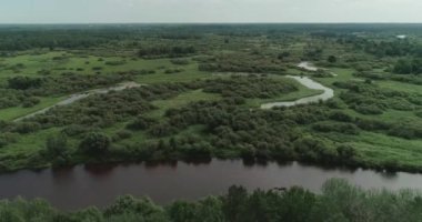 Doğa manzarası, nehirler vadi manzarası yükseklik, bataklık ve yeşil orman, kano, orman bölgesinde bir nehirde yüzme, arka plan.