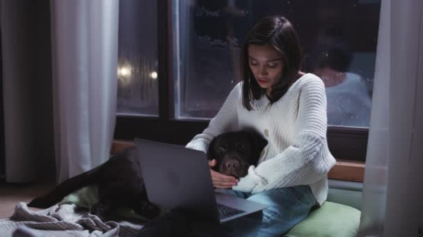 Mujer Joven Freelancer Está Sentado Suelo Con Perro Dormido Trabajando — Vídeos de Stock