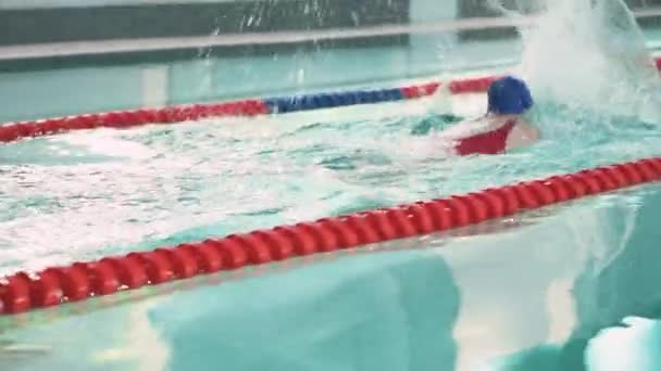 女性プロの水泳選手がプールで泳ぎ 水泳やトレーニング — ストック動画