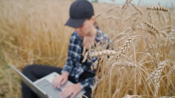 在模糊的视野中 女生态学家坐在田野里 在笔记本电脑前工作 在遥远的工作中自我隔离 在黑麦地里冲浪 — 图库视频影像