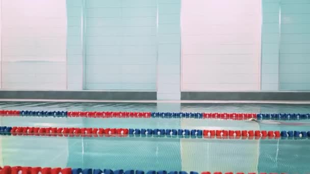 Vrouw Professionele Zwemmer Het Zwembad Mooie Sportieve Vrouw Zwemmen Training — Stockvideo