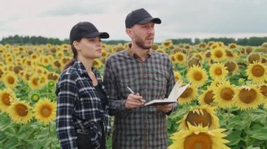 Çevreciler iş başında, erkek ve kadın çiftçiler ayçiçeği tarlasında duruyorlar ve verileri bir deftere yazıyorlar, bitkileri, kırsal kesimleri araştırıyorlar..