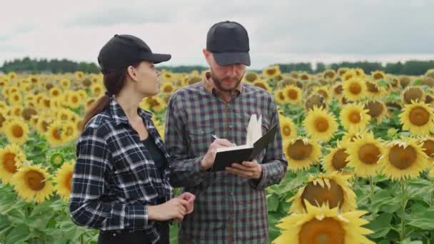Wieś Mężczyzna Kobieta Rolnicy Stoją Polu Słoneczników Zapisują Dane Notatniku — Wideo stockowe