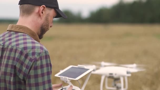 Agricultural Industry Farmer Control Quadcopter While Standing Field Rye Ecologist — Stock Video