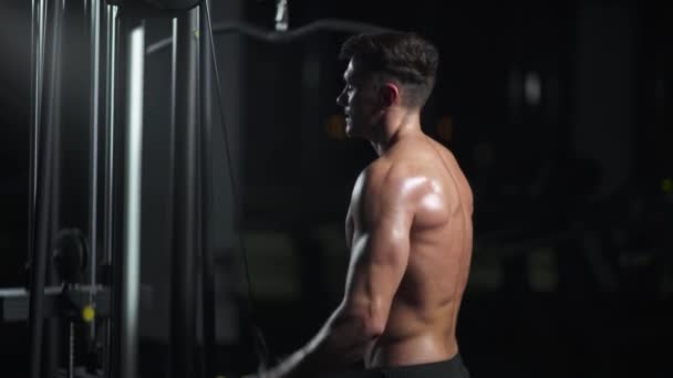 Homme Sportif Dans Les Blocs Levage Gymnase Sur Machine Gymnastique — Video