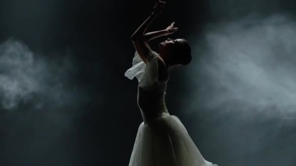 Ballettaufführung Dramatischer Tanz Anmutige Ballerina Weißen Tutu Choreografische Elemente Auf — Stockvideo