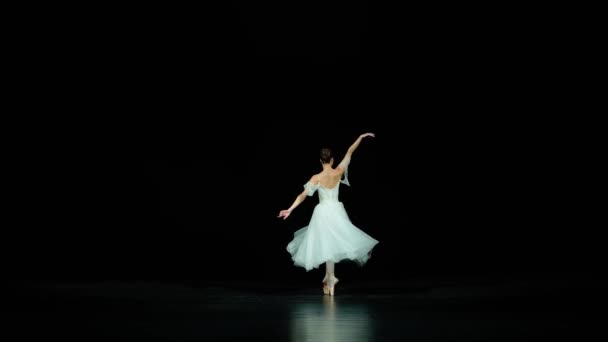 芭蕾表演 优雅的芭蕾舞演员在白色的Tutu舞蹈中 在黑色背景下表演舞蹈元素 美丽的戏剧舞蹈 — 图库视频影像