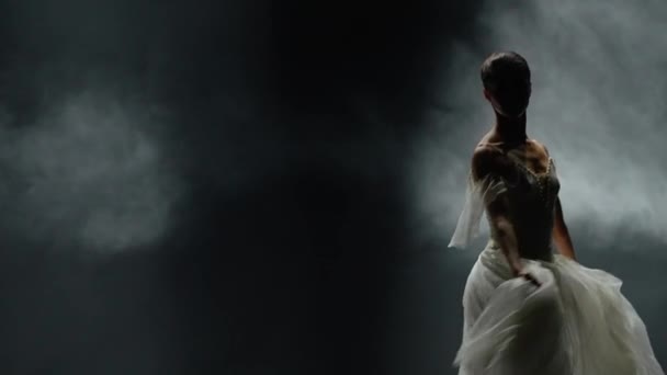Bela Dança Dramática Mulher Elegante Tutu Branco Bailarina Executar Elementos — Vídeo de Stock