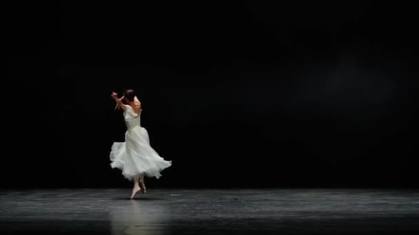 Actuación Ballet Bailarina Elegante Una Danza Tutú Blanca Realizar Elementos — Vídeo de stock