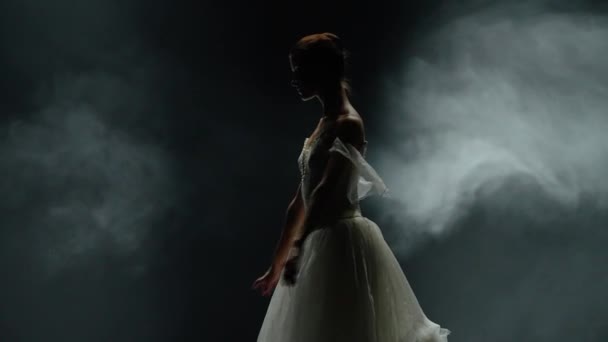 Performance Dramatischer Tanz Anmutige Ballerina Weißen Tutu Choreografische Elemente Auf — Stockvideo