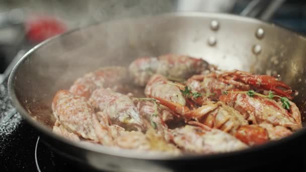 是用香草调味的小龙虾烤的过程 在一个煎锅 4K超慢速运动中被炒 — 图库视频影像
