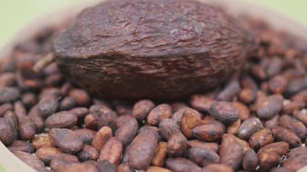 Frijoles Cacao Vista Frutas Cacao Ingredientes Crudos Para Hacer Productos — Vídeo de stock