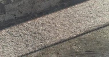 Ahşap işçiliği, ağaç gövdelerinin kıymıklara dönüştürülmesi, talaş, ulaşım ve ağaç yükleme yüklü bir yük treninin yüksekliğinden görünümü.
