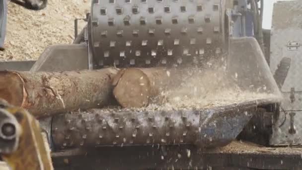 Industrie Bois Recyclage Des Troncs Arbres Éclats Machine Couper Bois — Video
