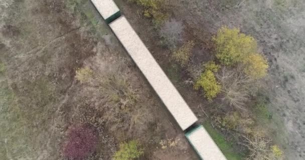 木材を積んだ貨物列車の高さからの眺め 輸送とロード — ストック動画