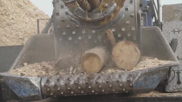 将树干回收成碎片 在工作时将木头切割成锯木屑的机器 将树装载起来 — 图库视频影像