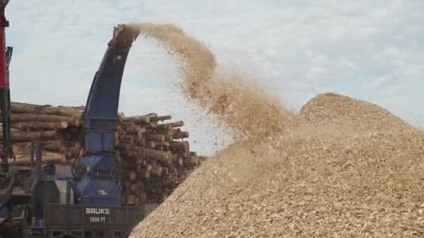 白俄罗斯 明斯克 2019年10月12日 将树干回收成碎片 在工作时将木材切割成锯屑的机器 木制碎纸机 飞木微粒 — 图库视频影像
