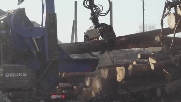Belarus Minsk Ekim 2019 Ağaç Gövdelerinin Kıymıklara Hidrolik Makinelere Dönüştürülmesi — Stok video