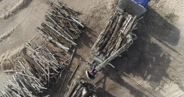 Pemandangan Udara Dari Kayu Daur Ulang Batang Pohon Menjadi Serpihan — Stok Video